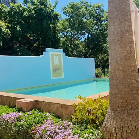 Villa Villa In Sotogrande Costa 2 Min To The Beach *